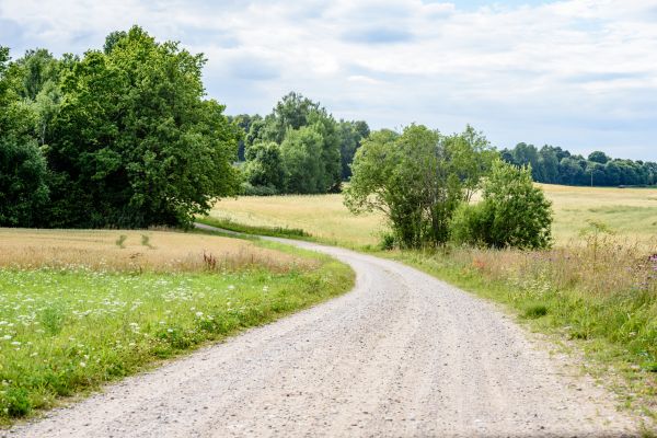 Stone Driveway Repair in Crystal Lake