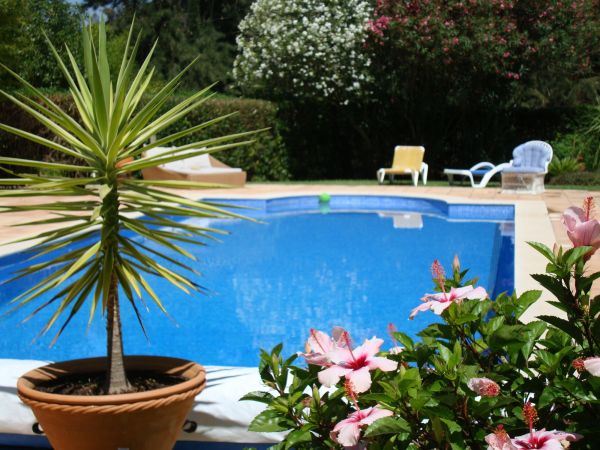 Pool Terrace Renovation in Crystal Lake